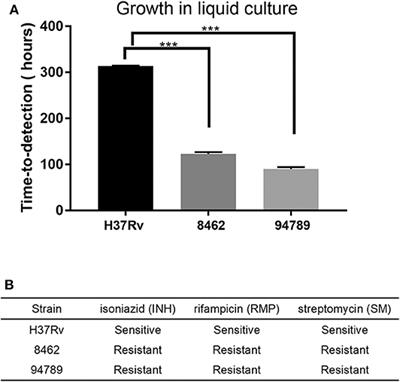 Whole Genome and Transcriptome Sequencing of Two Multi-Drug Resistant Mycobacterium tuberculosis Strains to Facilitate Illustrating Their Virulence in vivo